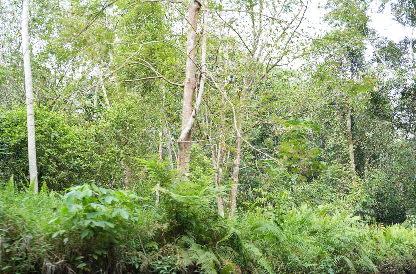 WhatsApp-Image-2023-10-13-at-09.33.00-1