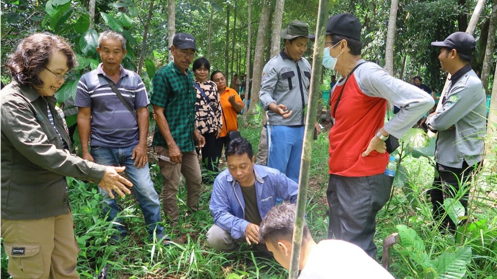 Pelatihan Penanaman di Desa Buntoi didampingi Patricia dan Penyang selaku Tenaga Ahli Biodiversitas dan Edy Subhani selaku Field Project Manager KPSHK. Sumber: KPSHK, 26 s.d. 27 Januari 2024