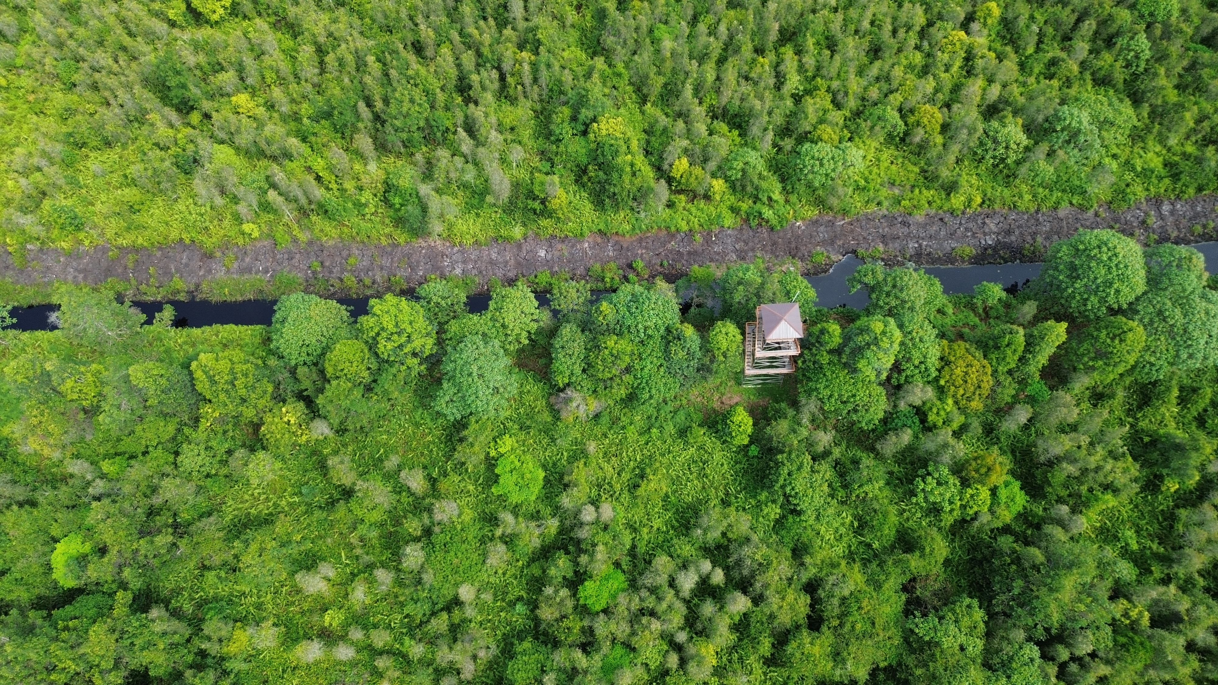 DJI_0246.jpg