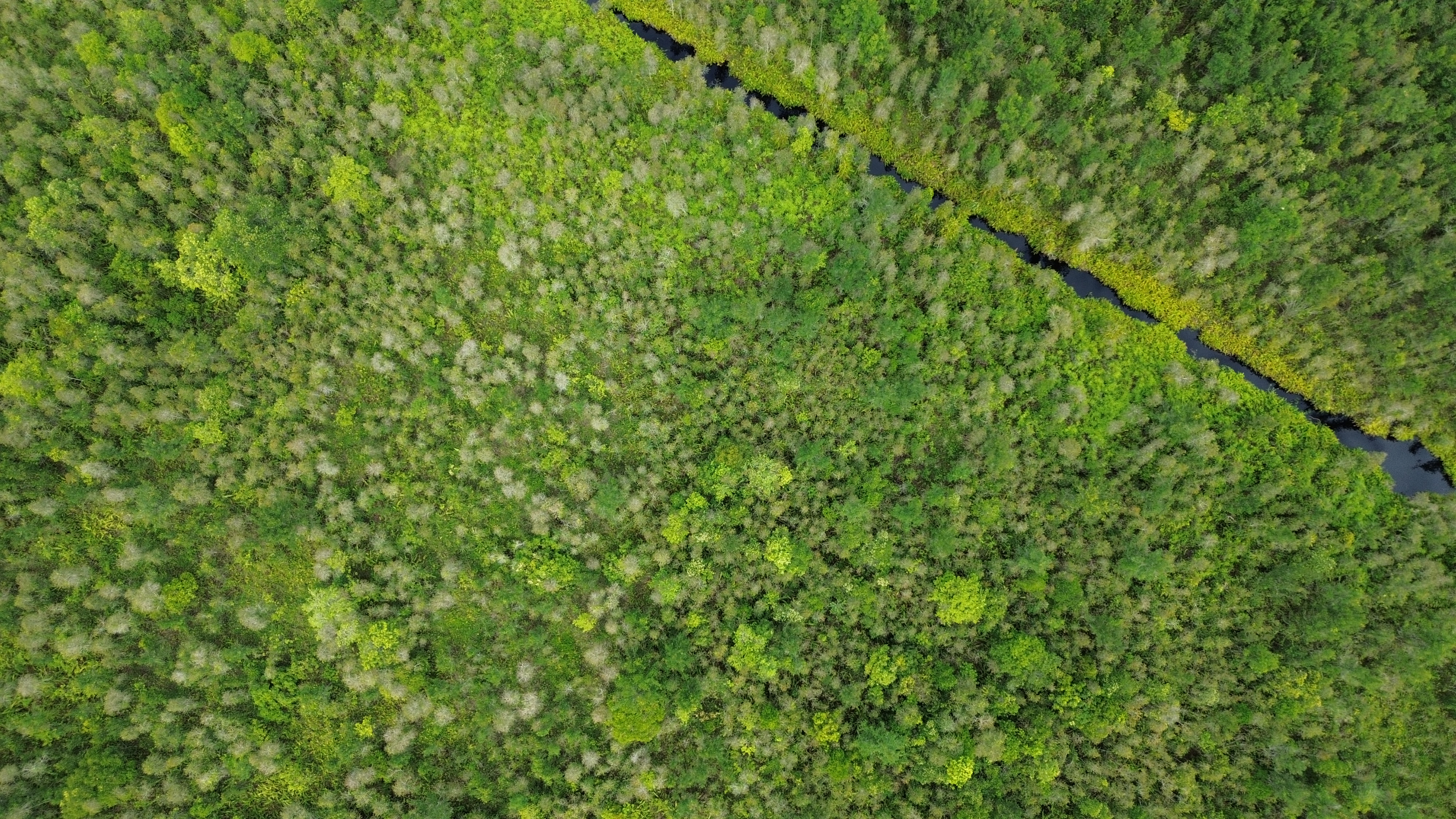 DJI_0342.jpg