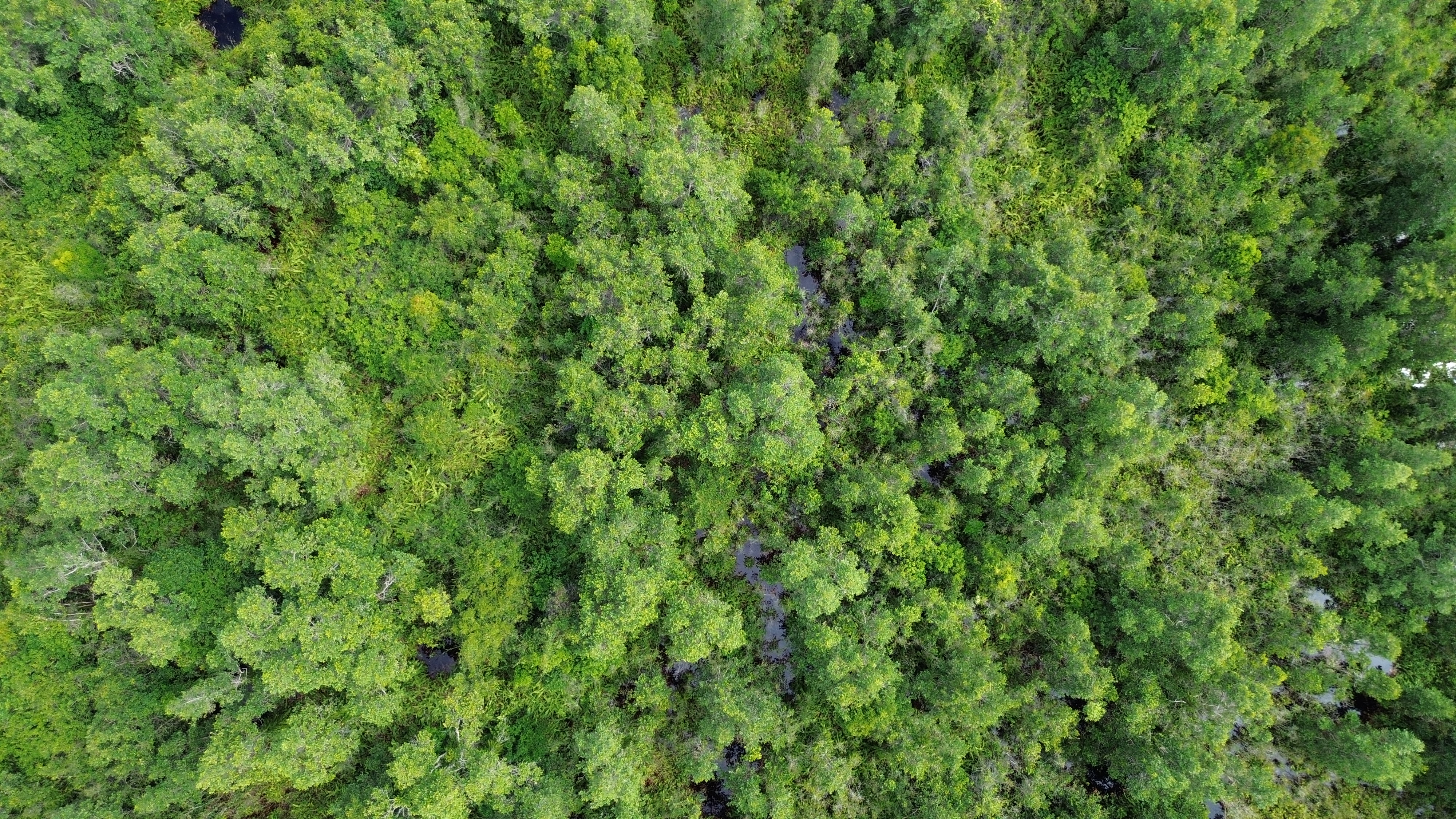 DJI_0364.jpg